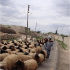 roadblock